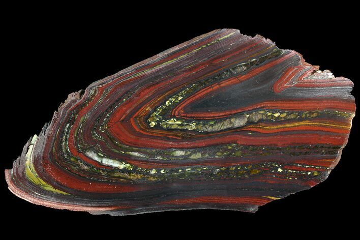 Polished Tiger Iron Stromatolite - ( Billion Years) #92821